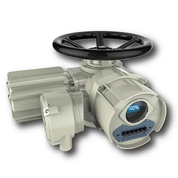 multi-turn electric actuator